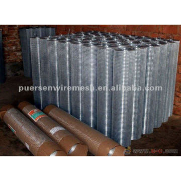 Electro-galvanized Welded Wire Mesh